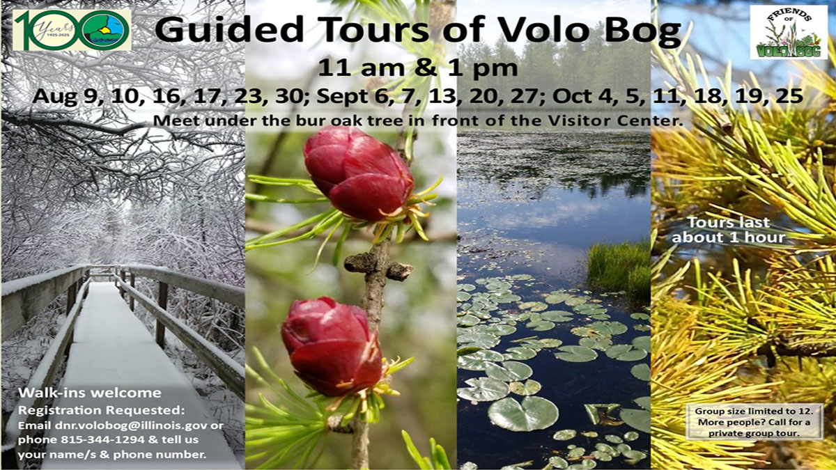 Guided Tours of Volo Bog